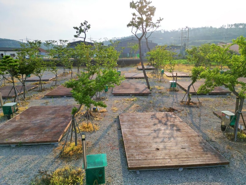 석병관광농원 야영장 시설 사진 8