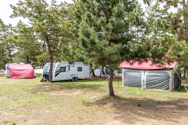 몽산포오션캠핑장 시설 사진 9