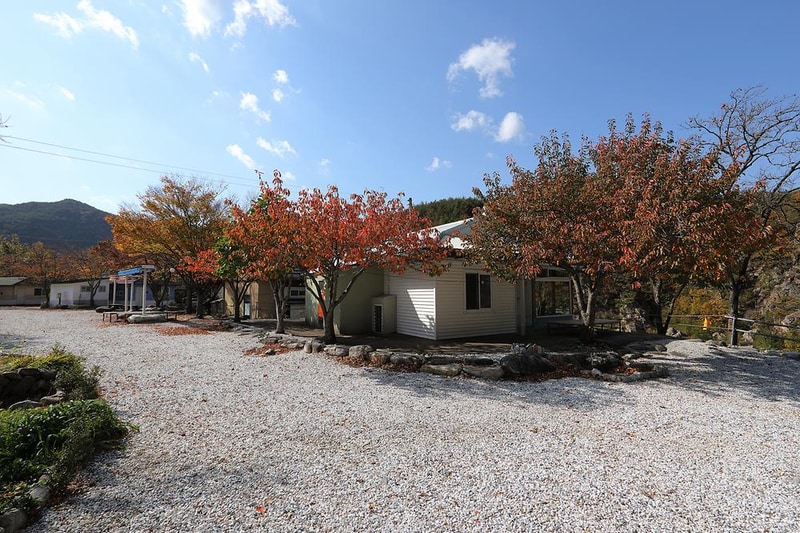 왕피천모래언덕 펜션/캠핑장 시설 사진 10