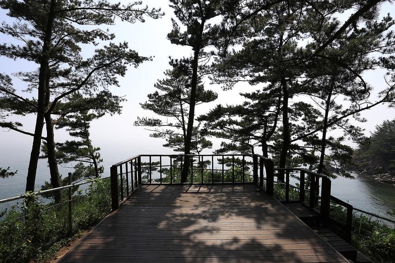 SE클럽(태안둘레길캠핑장&펜션) 시설 사진 12