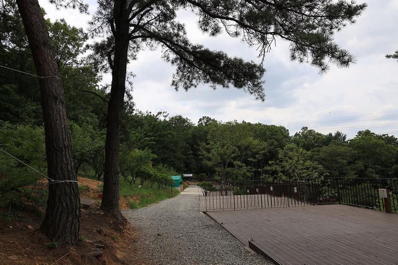 물왕숲캠핑파크 시설 사진 29