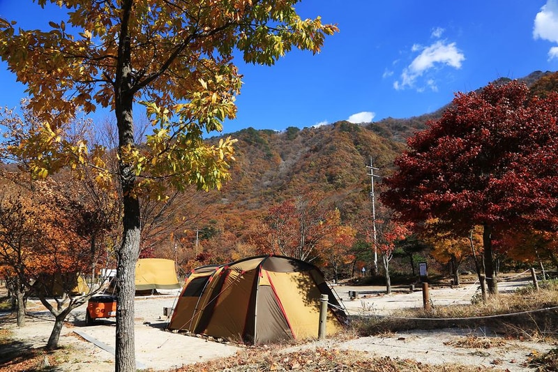 달궁자동차야영장 시설 사진 47